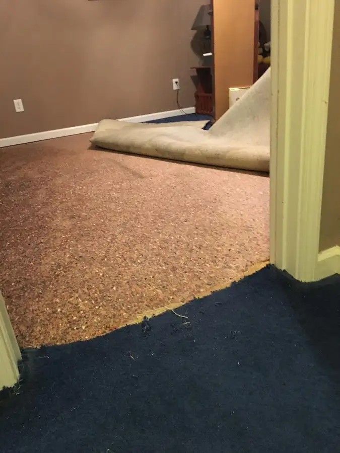 Carpet pad removal revealing water damage during Water Mitigation Services in Highland Park