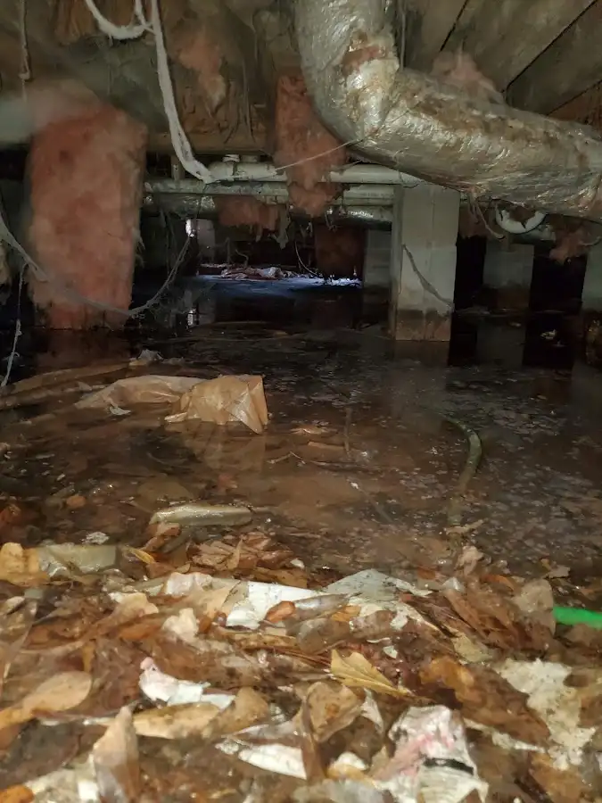 Crawl space flood assessment for Leak Detection & Repair in Highland Park