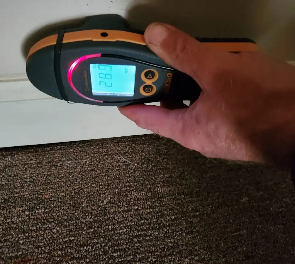Moisture detection at baseboard during Mold Inspection & Testing in Highland Park